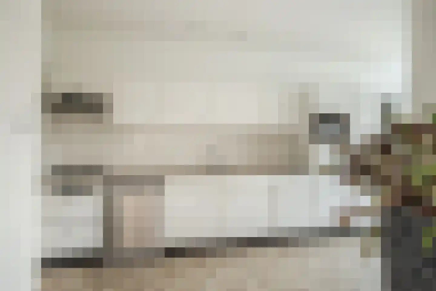 Hoetinkhof 3 Vorden thumbnail 9