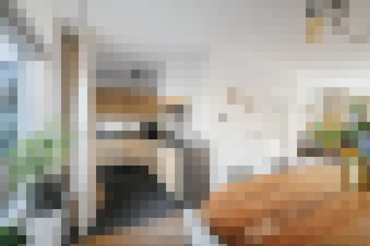 Hoetinkhof 72 Vorden thumbnail 10