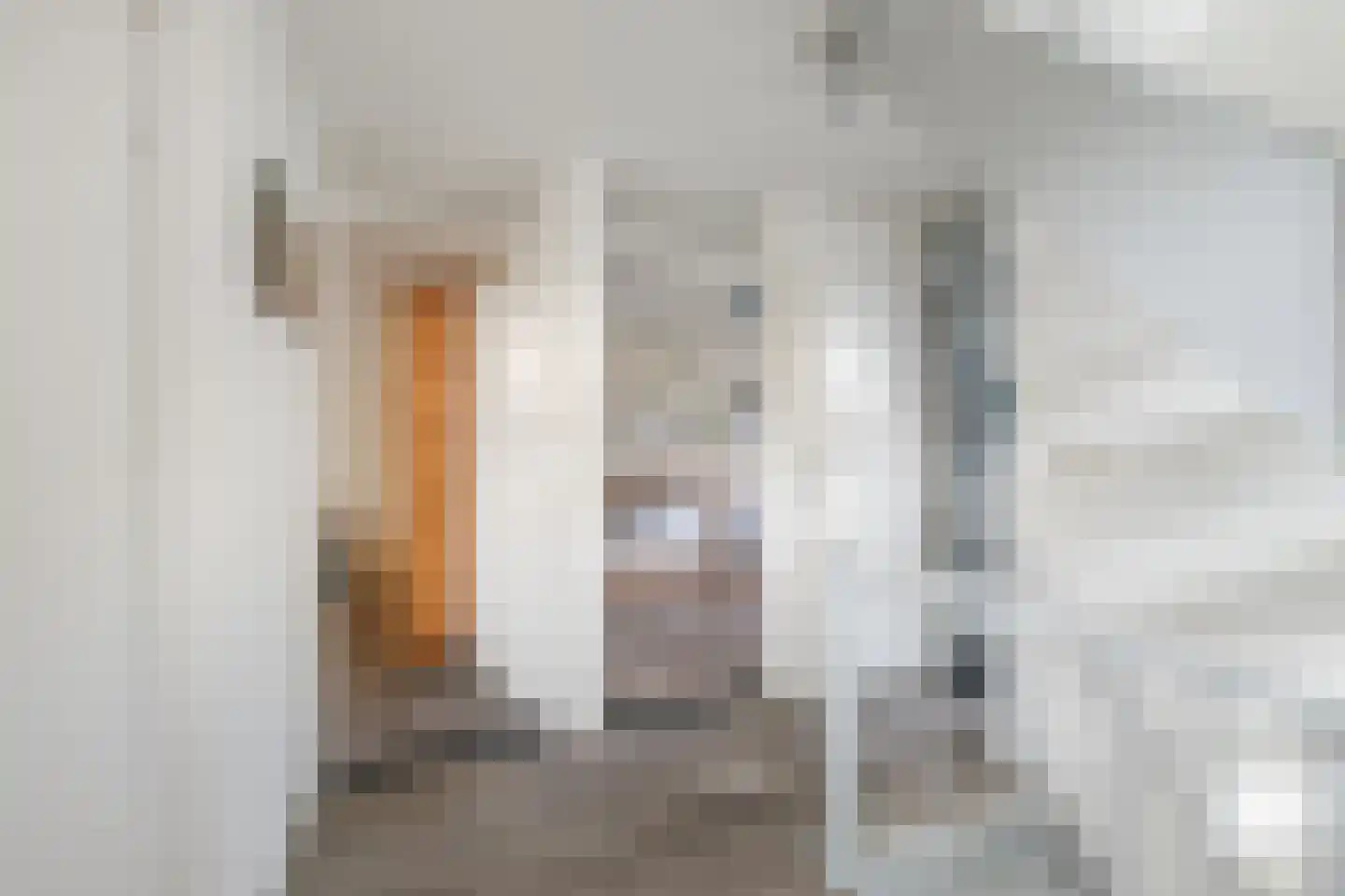 Hoetinkhof 72 Vorden thumbnail 16