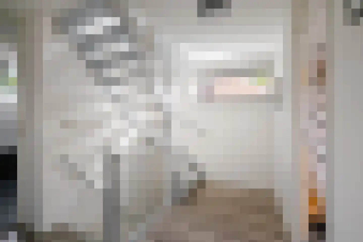 Hoetinkhof 72 Vorden thumbnail 17