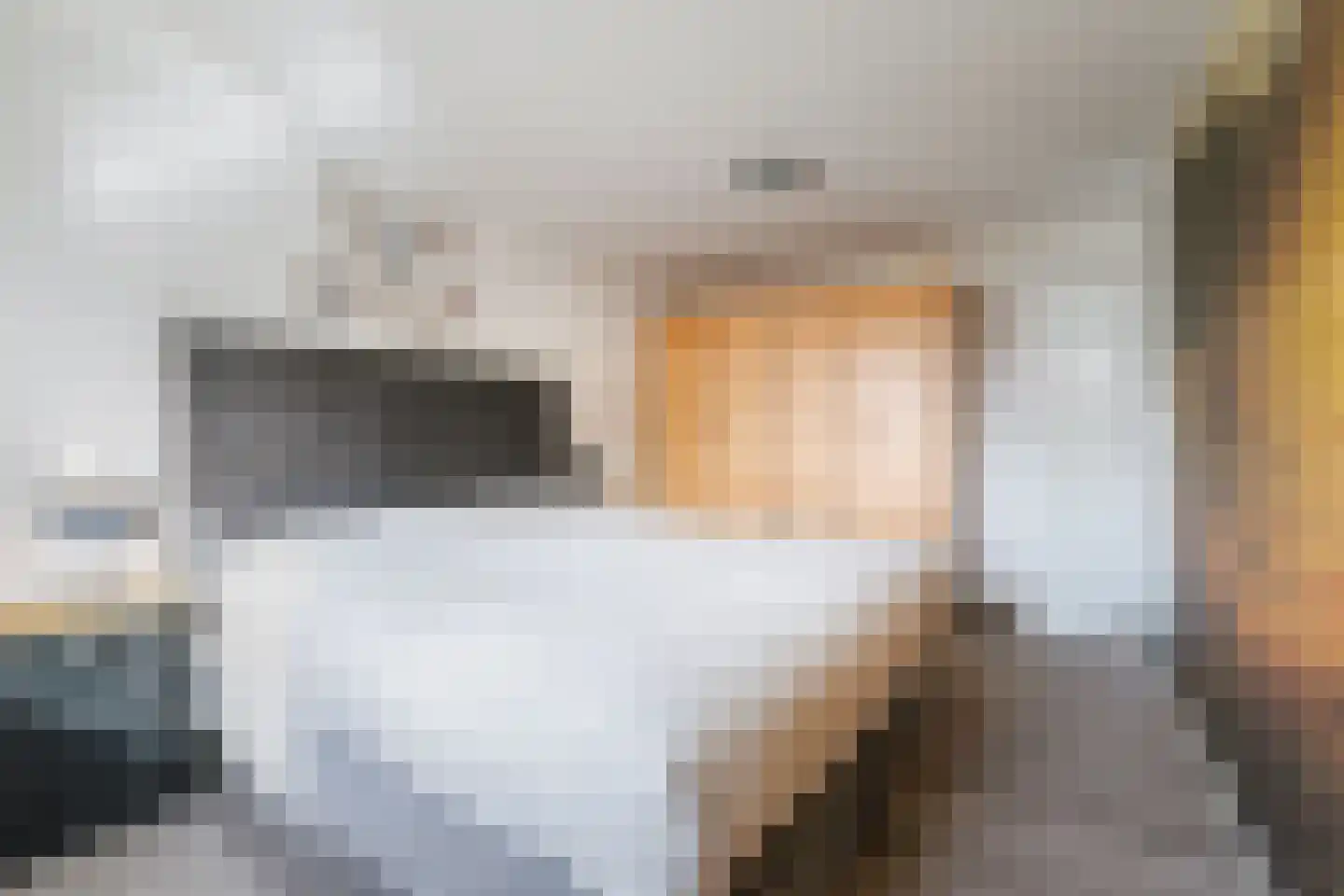 Hoetinkhof 72 Vorden thumbnail 19