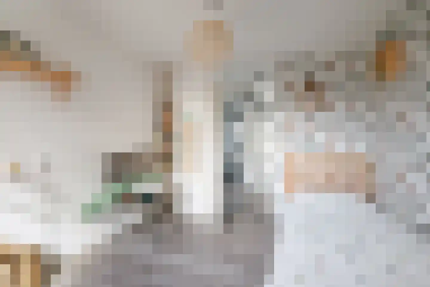 Hoetinkhof 72 Vorden thumbnail 22