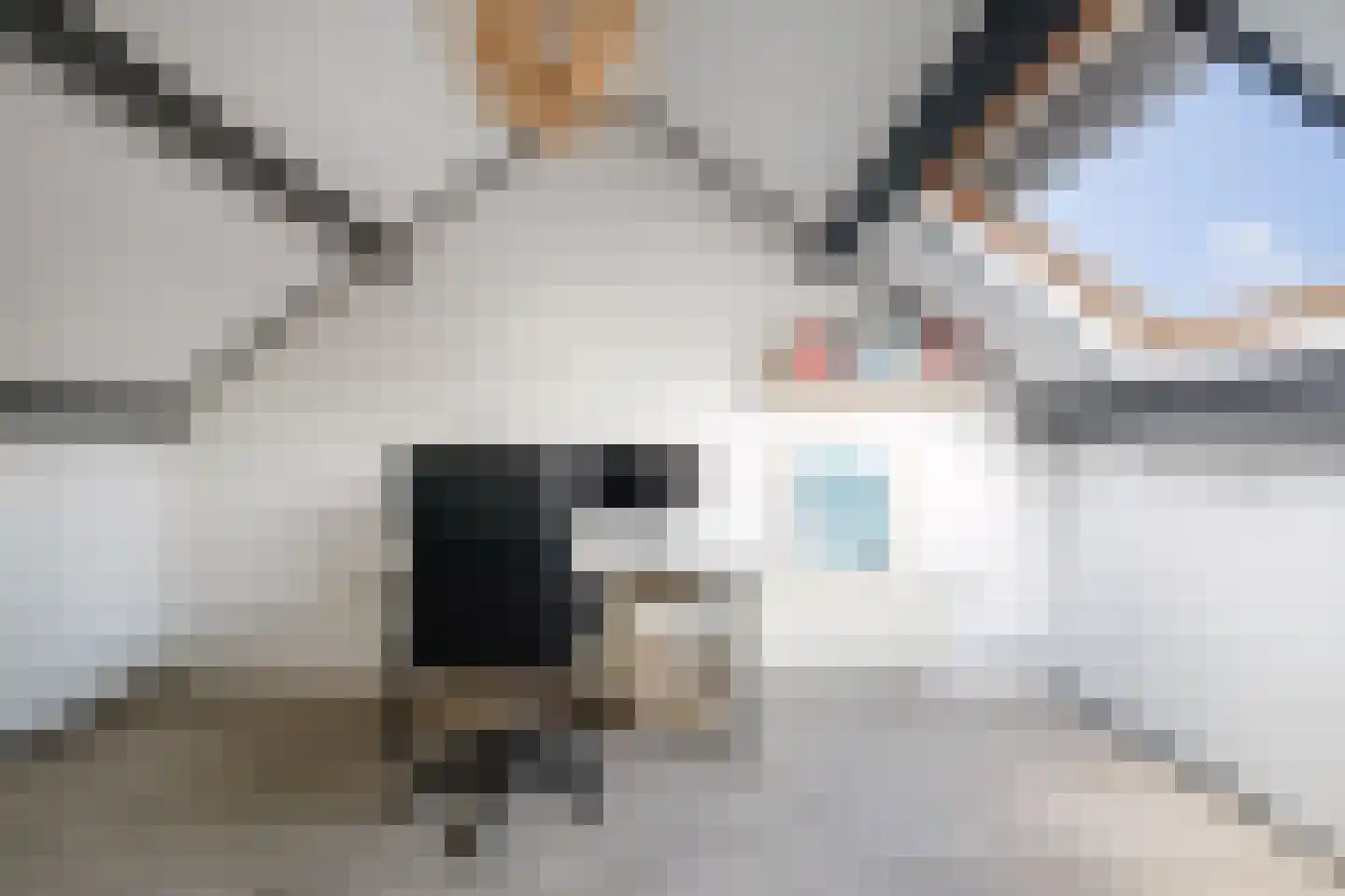 Hoetinkhof 72 Vorden thumbnail 29