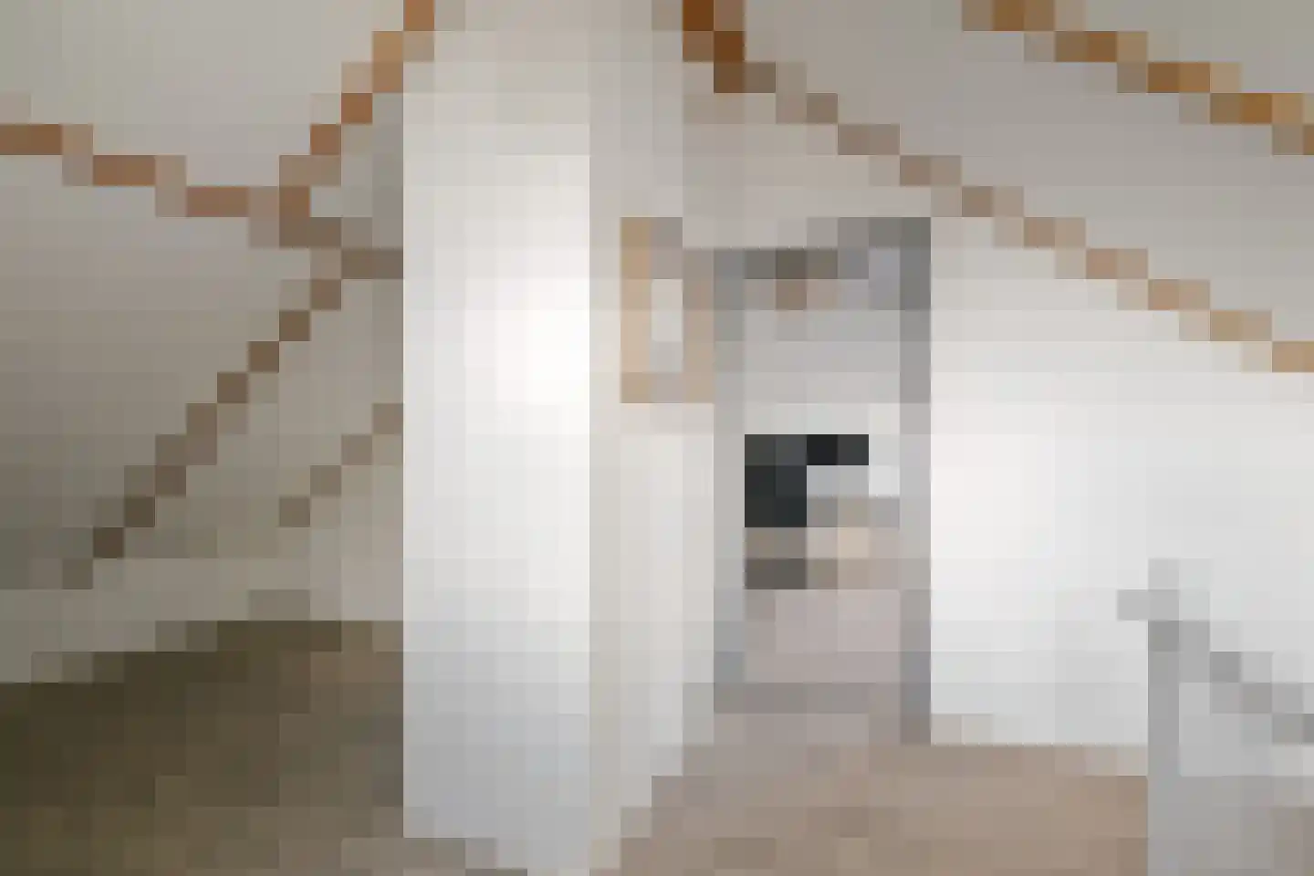 Hoetinkhof 72 Vorden thumbnail 31
