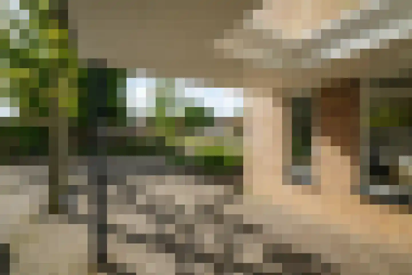 Hoetinkhof 72 Vorden thumbnail 37