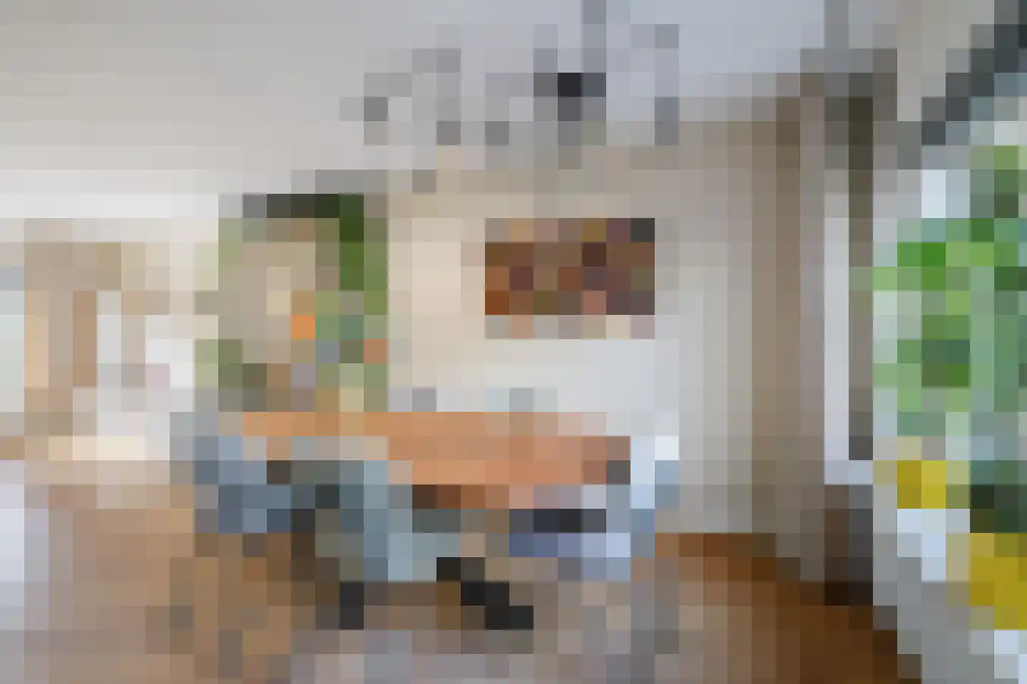 Hoetinkhof 72 Vorden thumbnail 9