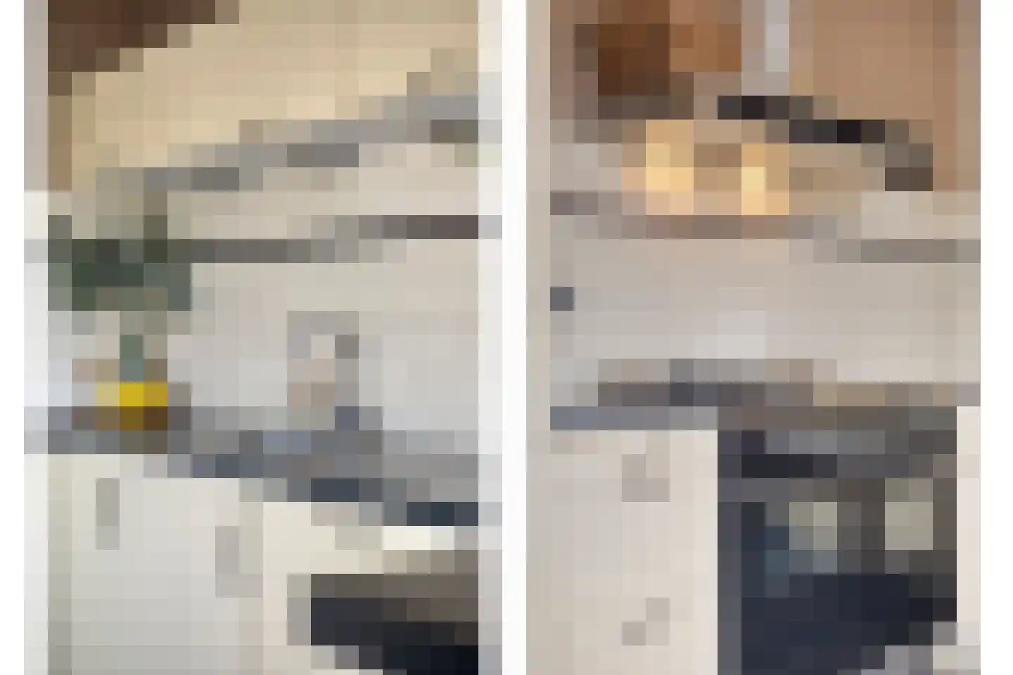Hoetinkhof 83 Vorden thumbnail 12