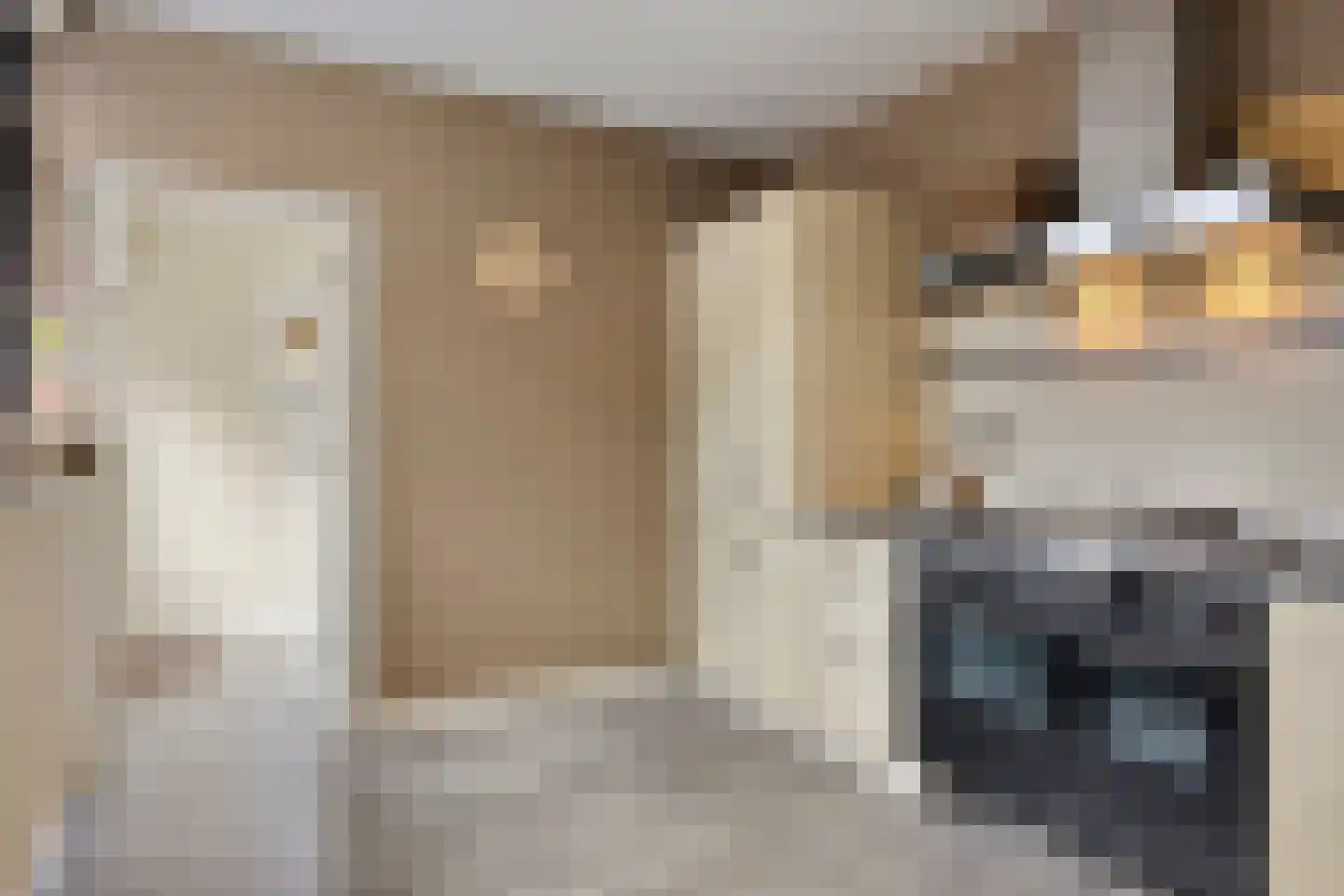 Hoetinkhof 83 Vorden thumbnail 13