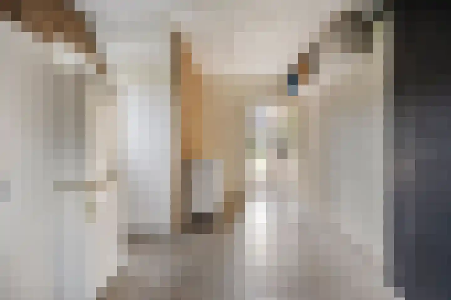 Hoetinkhof 83 Vorden thumbnail 15