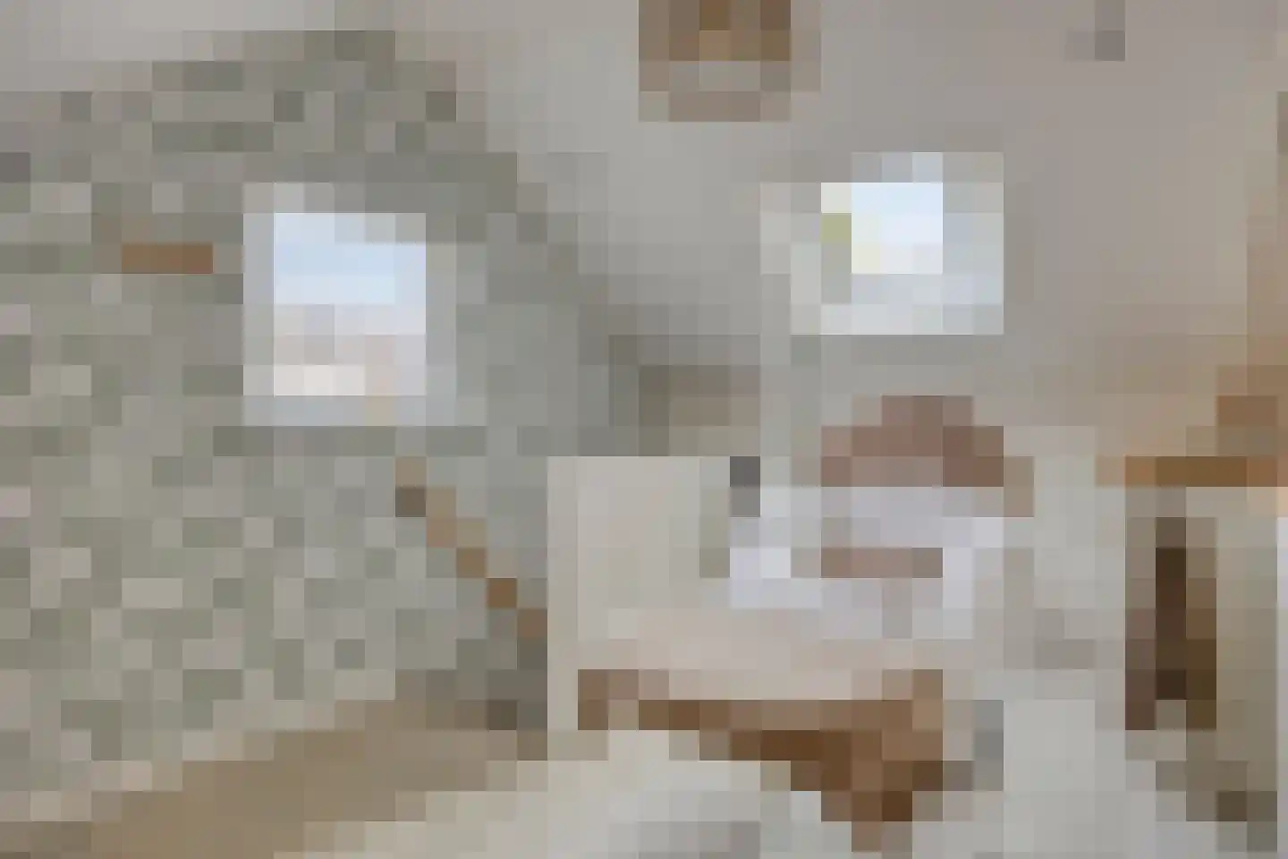 Hoetinkhof 83 Vorden thumbnail 19