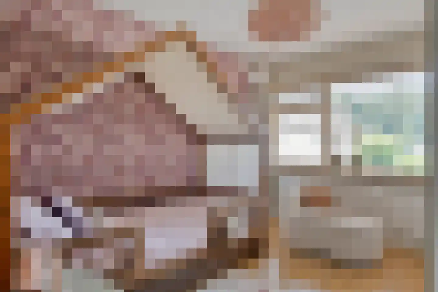 Hoetinkhof 83 Vorden thumbnail 24
