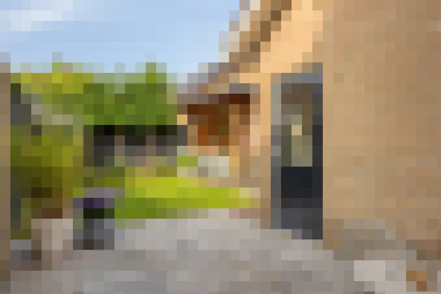 Hoetinkhof 83 Vorden thumbnail 28