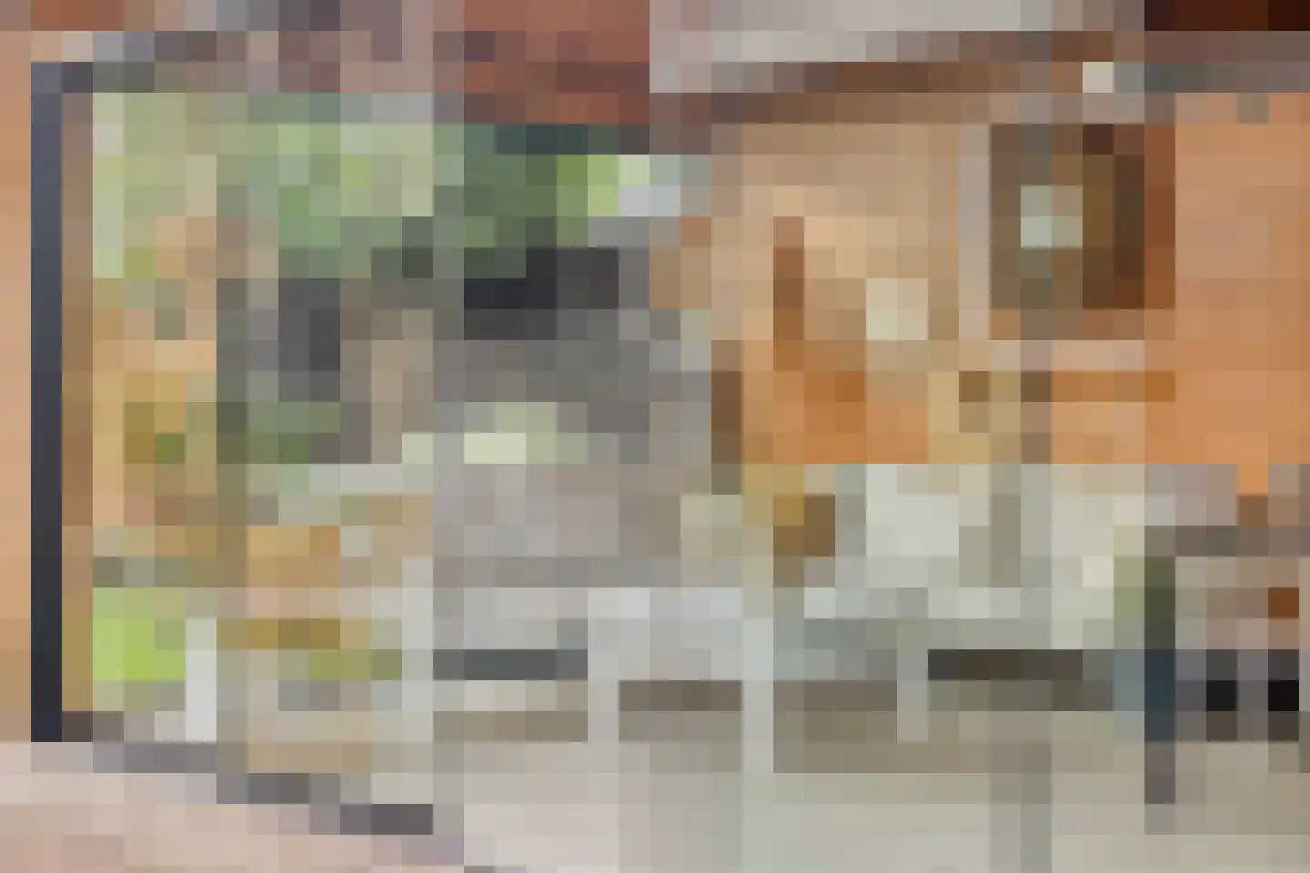 Hoetinkhof 83 Vorden thumbnail 30
