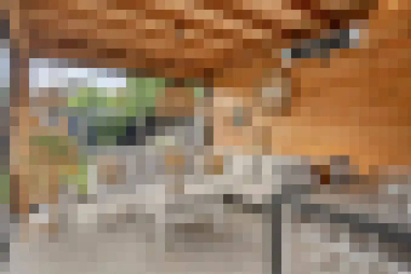 Hoetinkhof 83 Vorden thumbnail 31