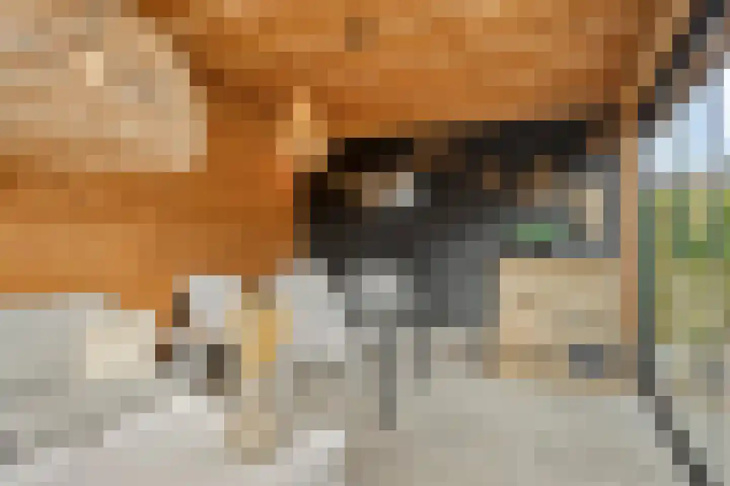 Hoetinkhof 83 Vorden thumbnail 32