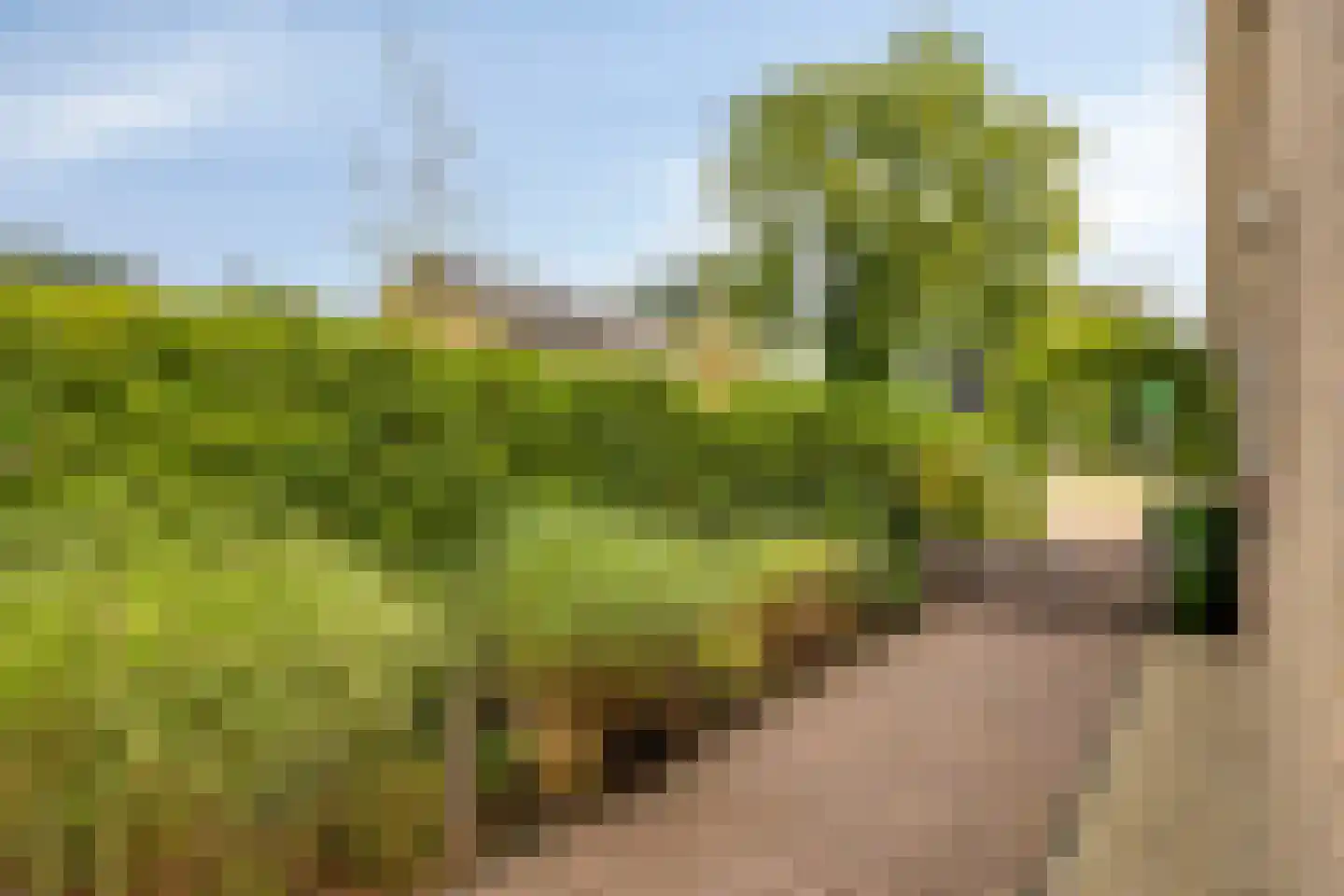 Hoetinkhof 83 Vorden thumbnail 36