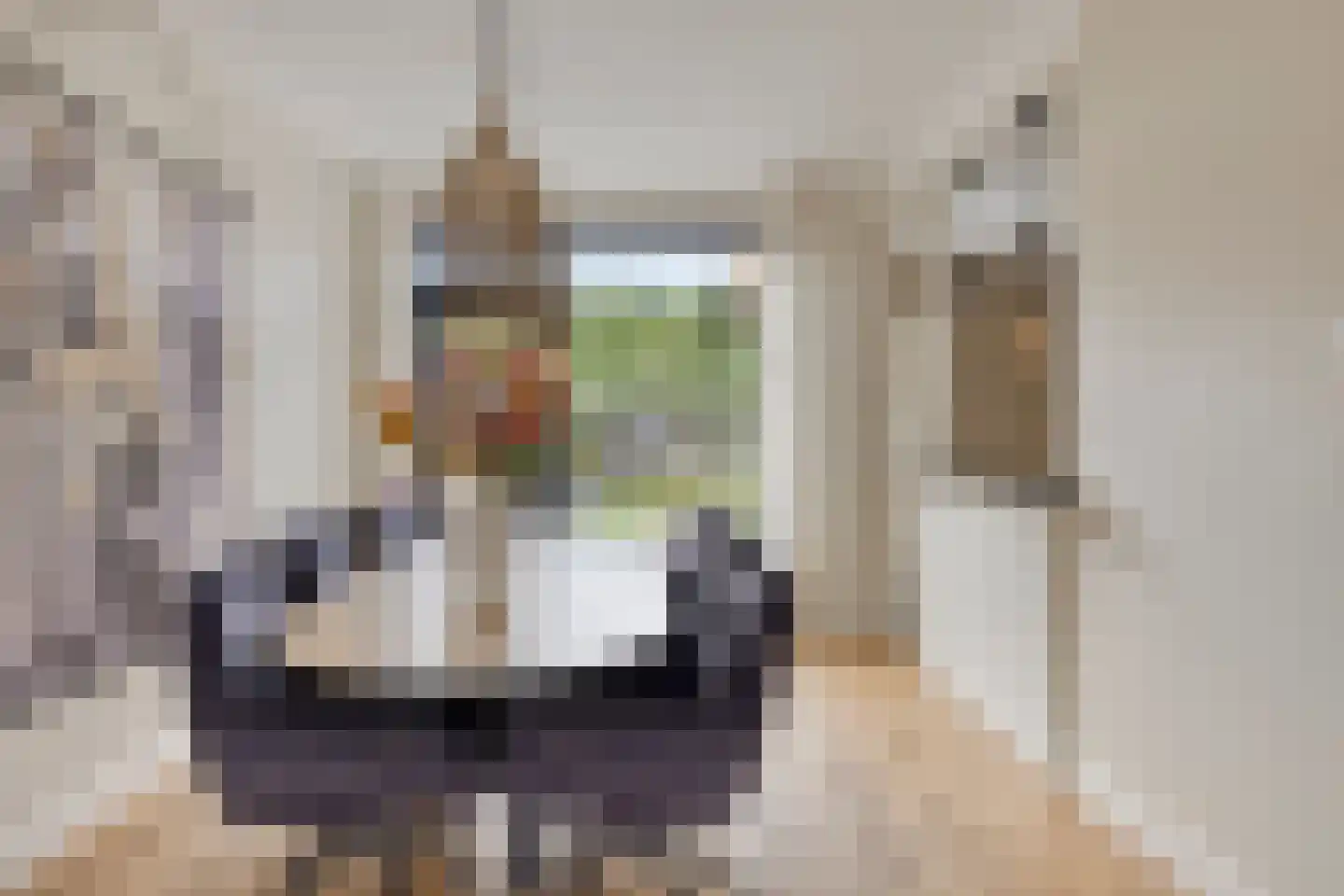 Hoetinkhof 83 Vorden thumbnail 8