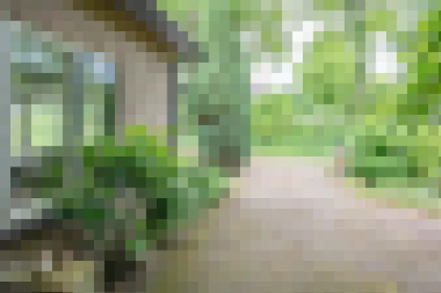 Hoetinkhof 92 Vorden thumbnail 10