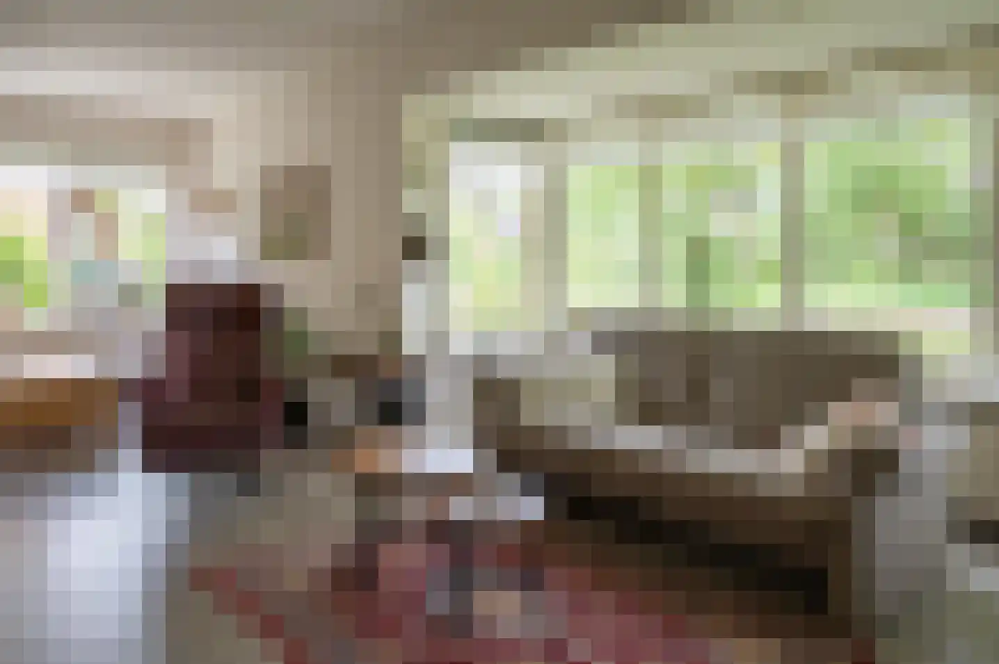 Hoetinkhof 92 Vorden thumbnail 15