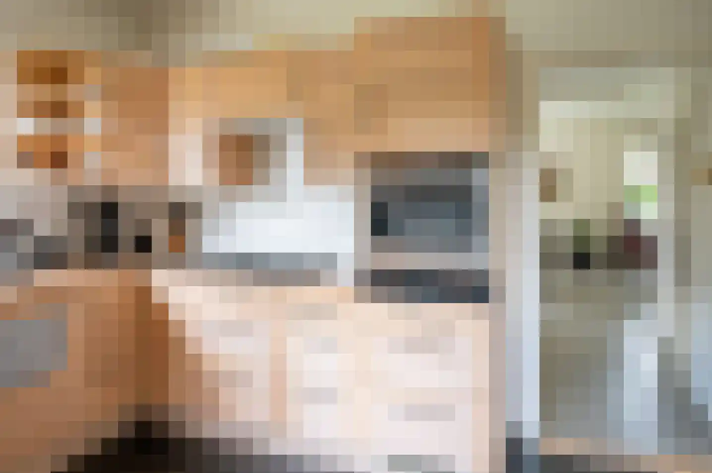 Hoetinkhof 92 Vorden thumbnail 18