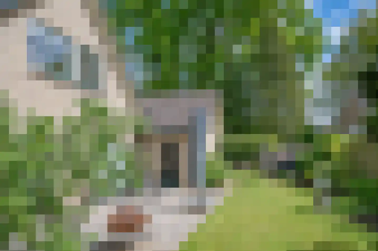 Hoetinkhof 92 Vorden thumbnail 32