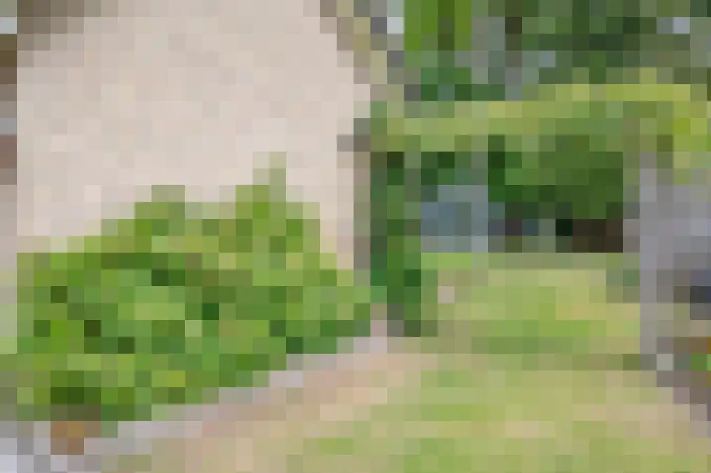 Hoetinkhof 92 Vorden thumbnail 36