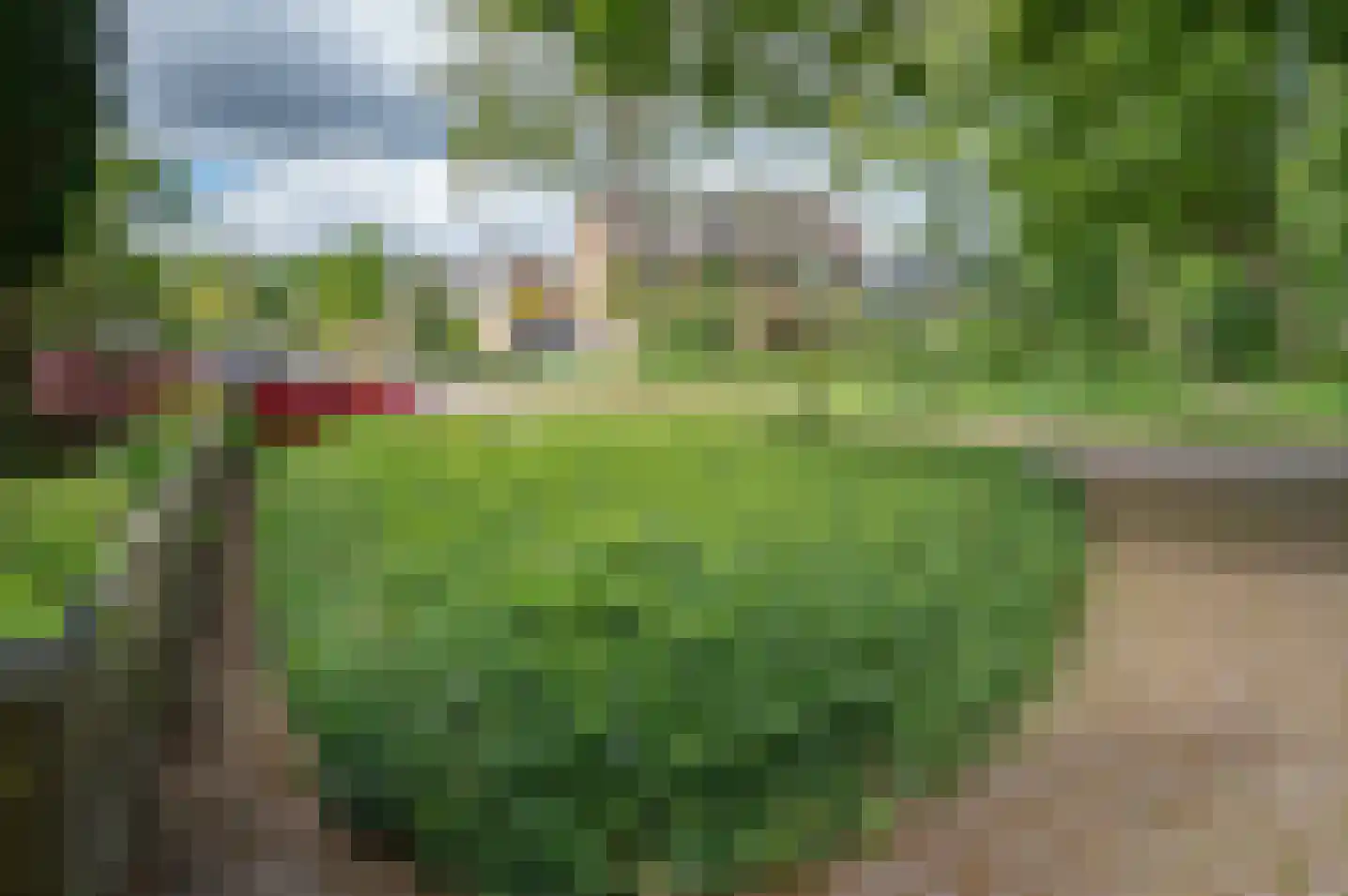 Hoetinkhof 92 Vorden thumbnail 38