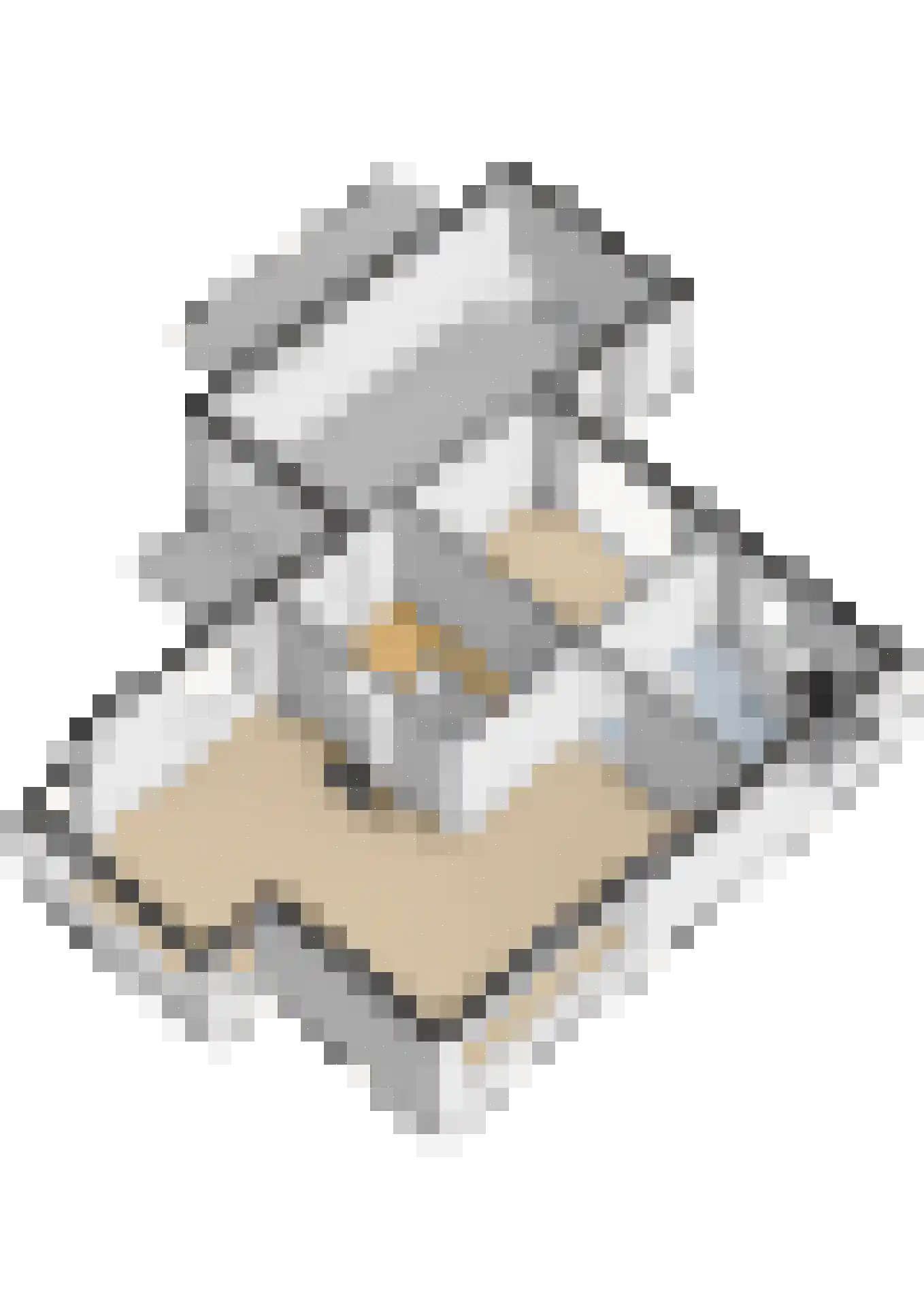 Hoetinkhof 92 Vorden thumbnail 42