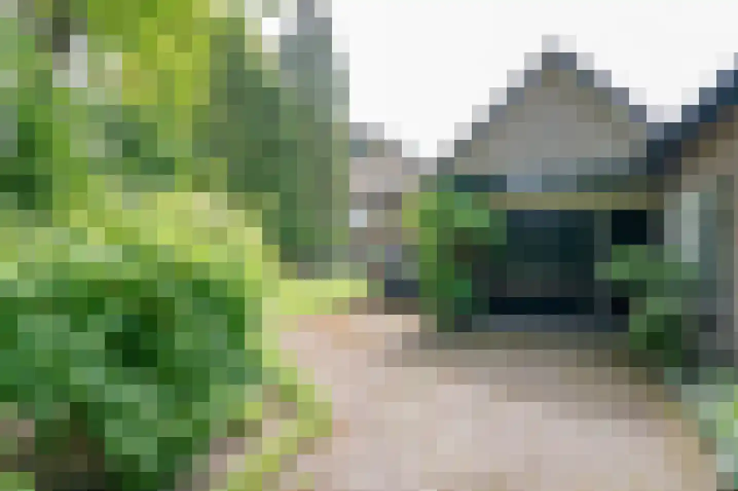 Hoetinkhof 92 Vorden thumbnail 7