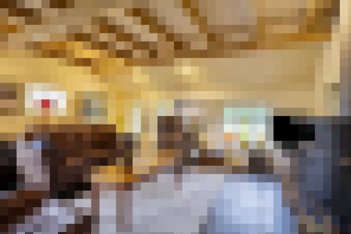 Hoetmansmeer I 102 Nieuwe Pekela thumbnail 12