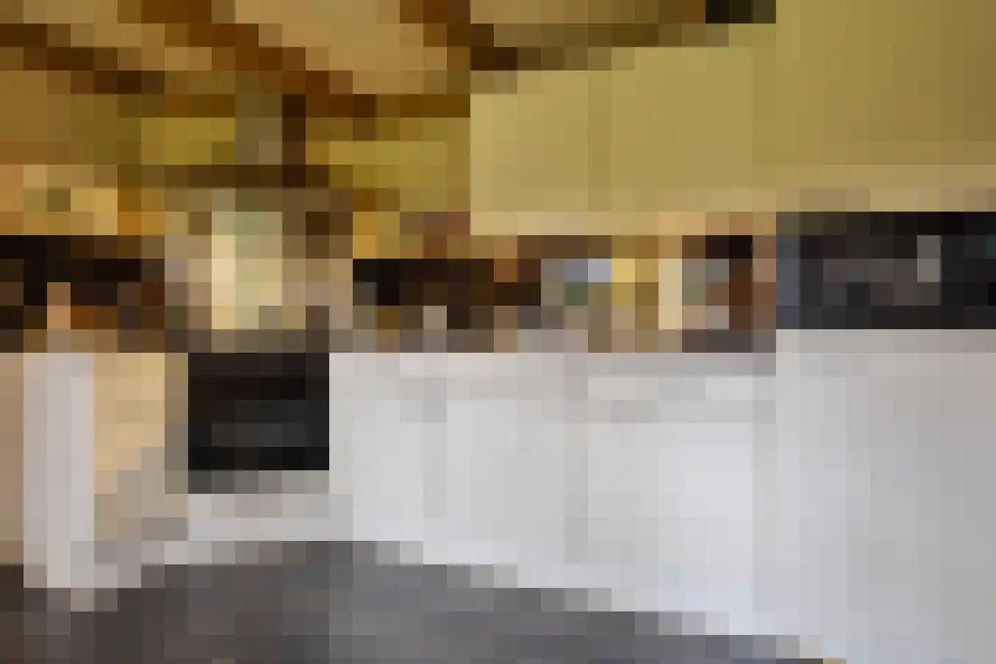 Hoetmansmeer I 102 Nieuwe Pekela thumbnail 21
