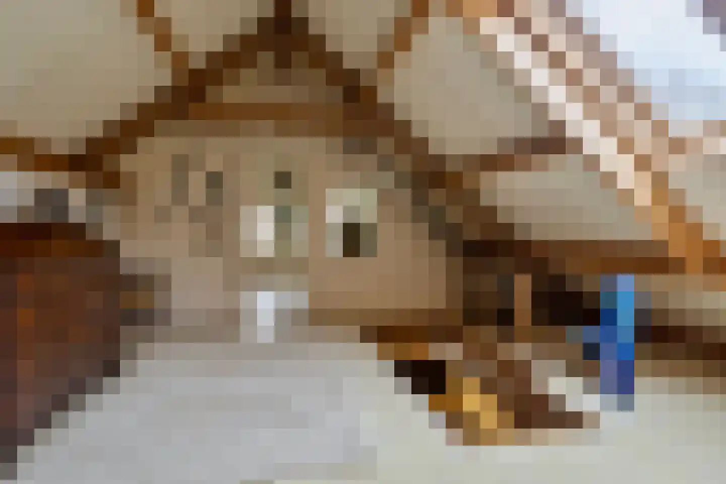 Hoetmansmeer I 102 Nieuwe Pekela thumbnail 35