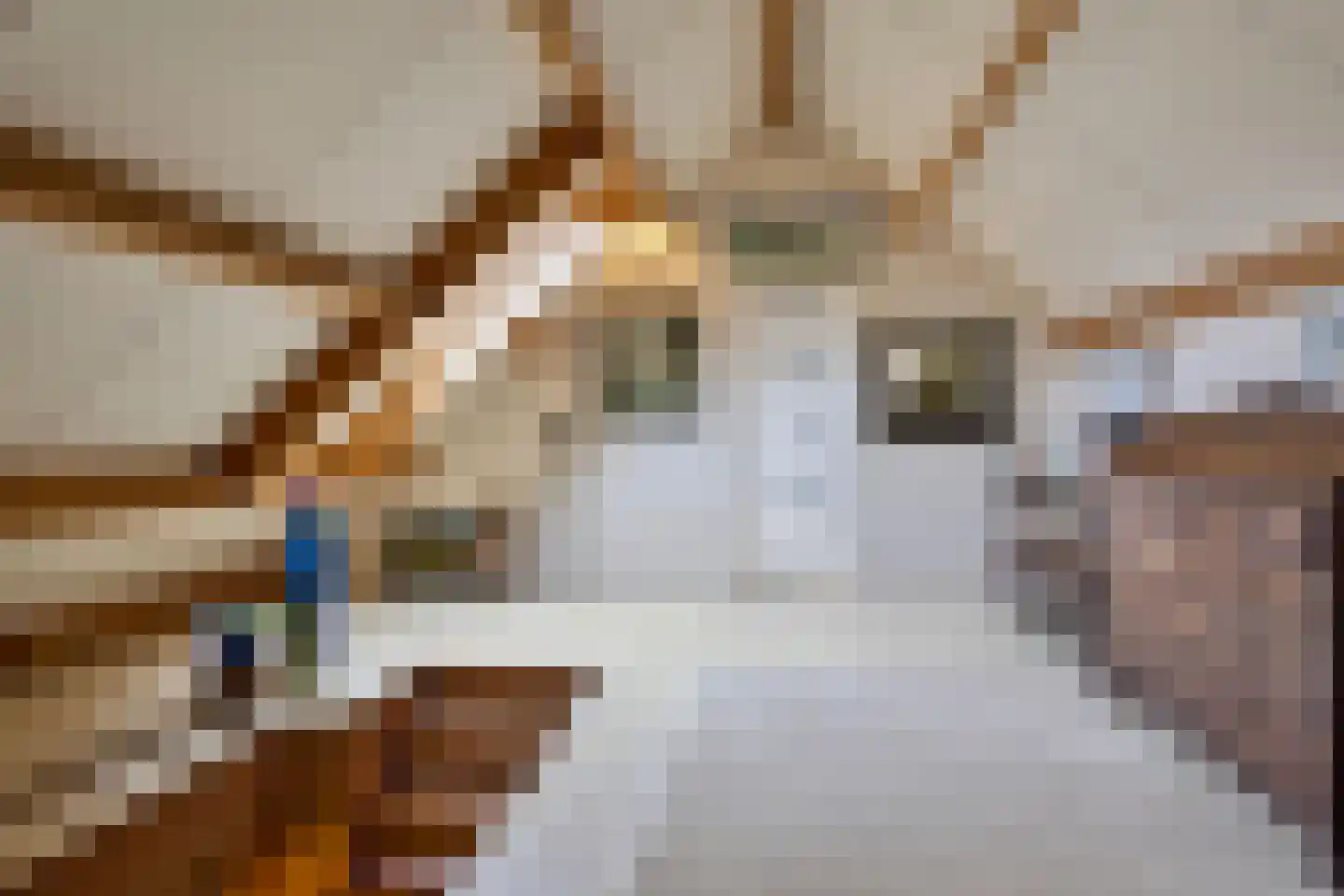Hoetmansmeer I 102 Nieuwe Pekela thumbnail 36