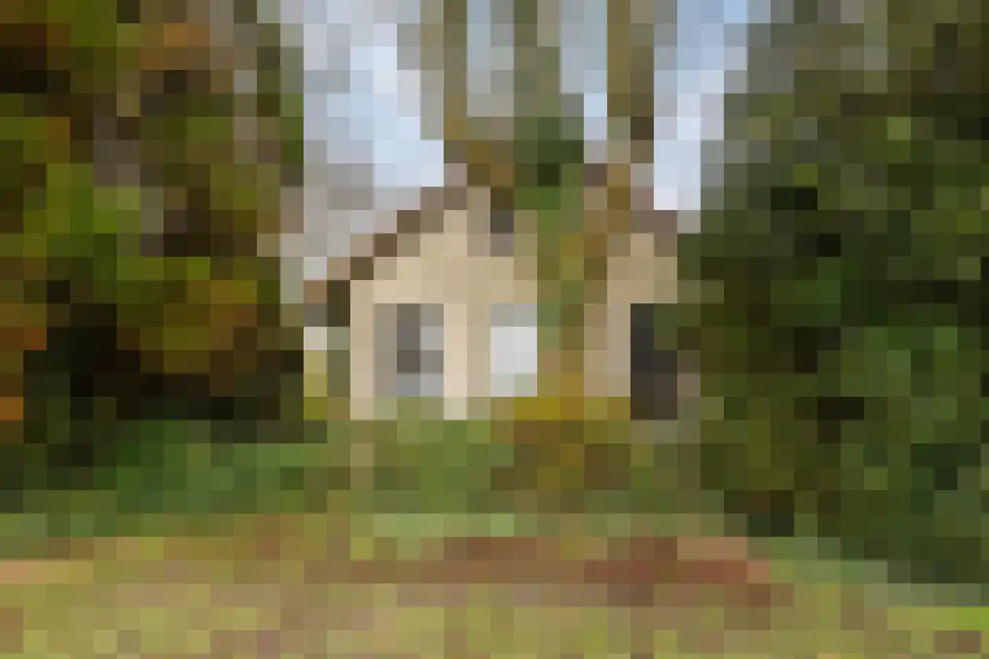 Hoetmansmeer I 102 Nieuwe Pekela thumbnail 4
