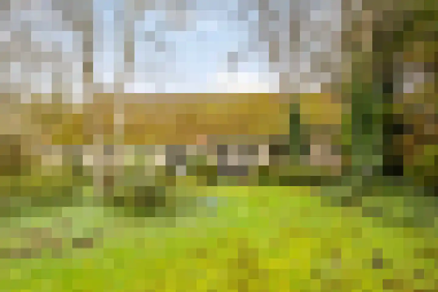 Hoetmansmeer I 102 Nieuwe Pekela thumbnail 41