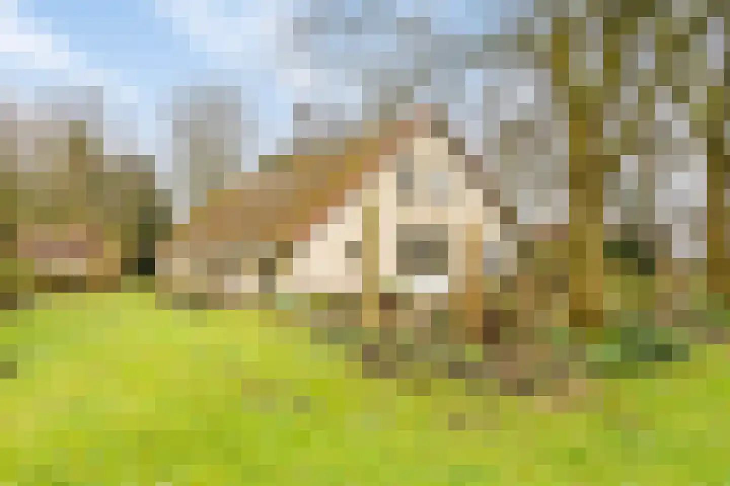 Hoetmansmeer I 102 Nieuwe Pekela thumbnail 44