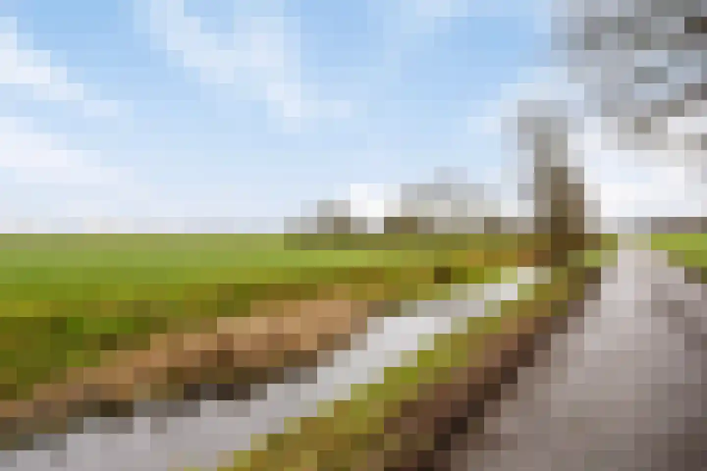 Hoetmansmeer I 102 Nieuwe Pekela thumbnail 47