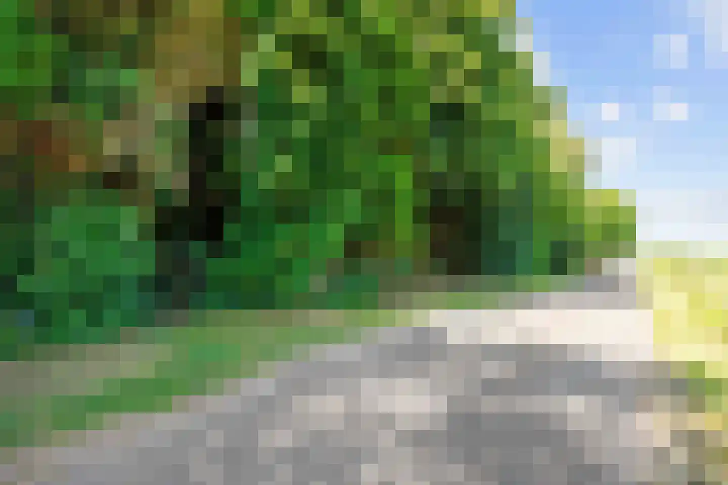 Hoetmansmeer I 102 Nieuwe Pekela thumbnail 48