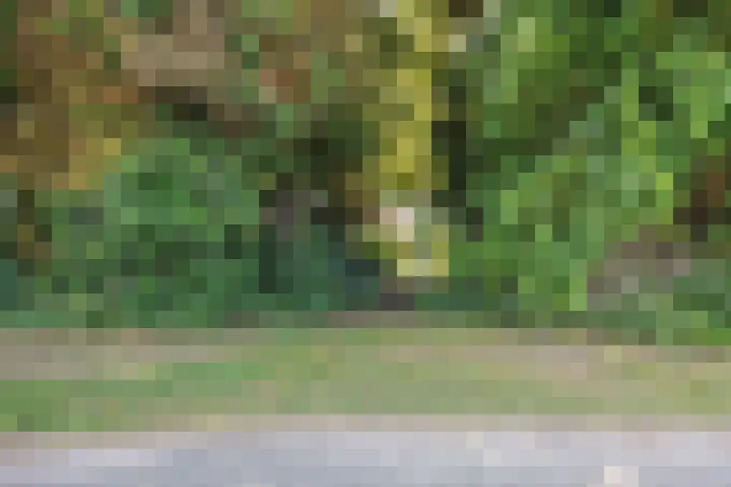 Hoetmansmeer I 102 Nieuwe Pekela thumbnail 49