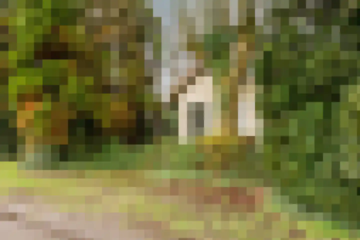 Hoetmansmeer I 102 Nieuwe Pekela thumbnail 5