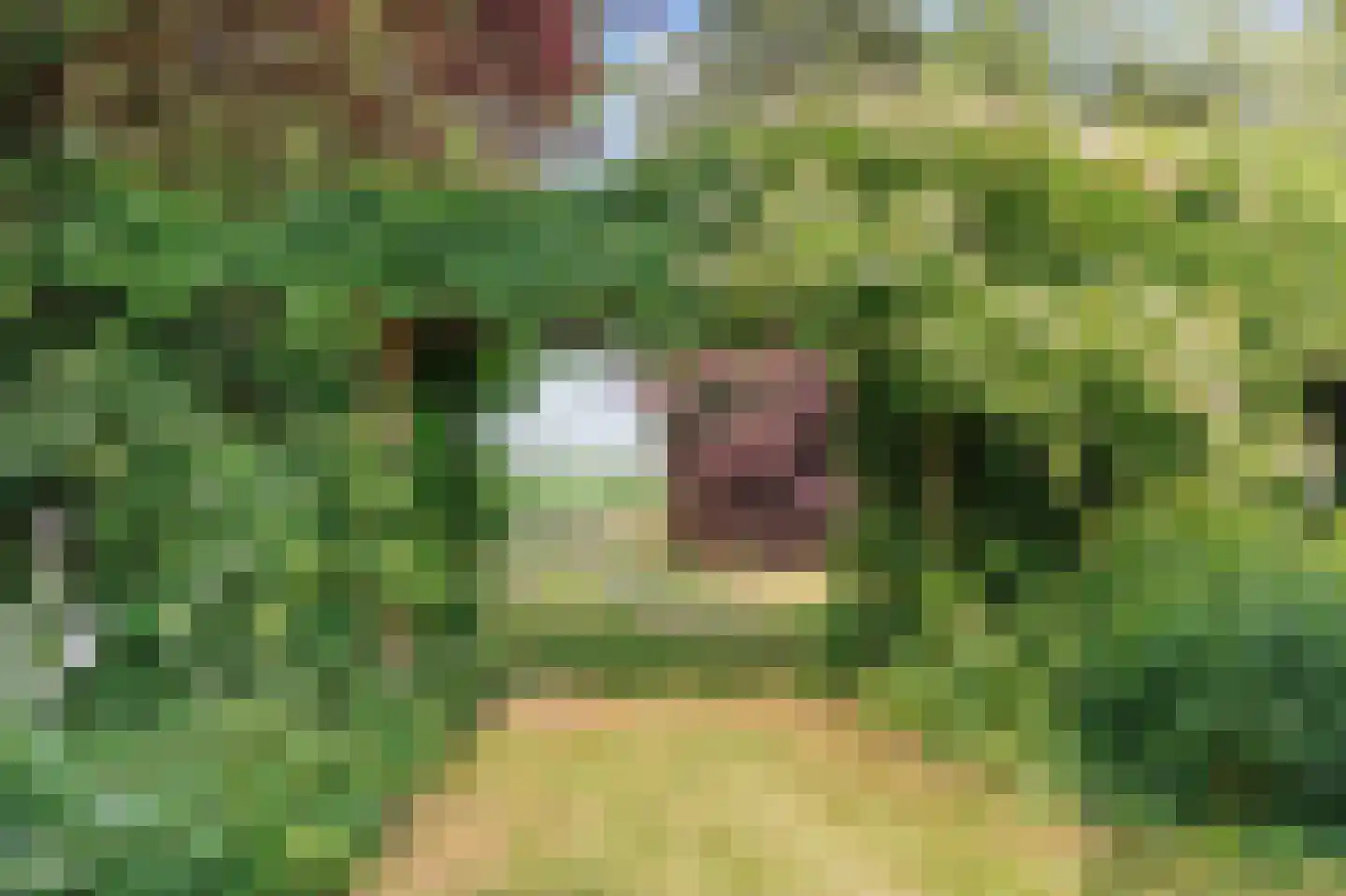Hoetmansmeer I 102 Nieuwe Pekela thumbnail 53