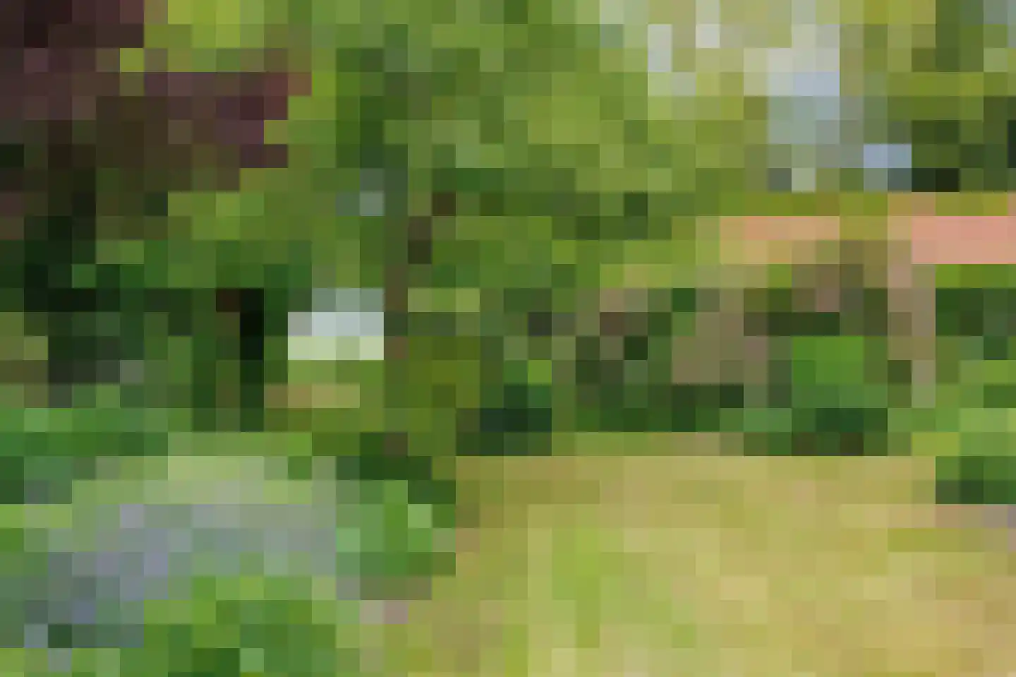 Hoetmansmeer I 102 Nieuwe Pekela thumbnail 55