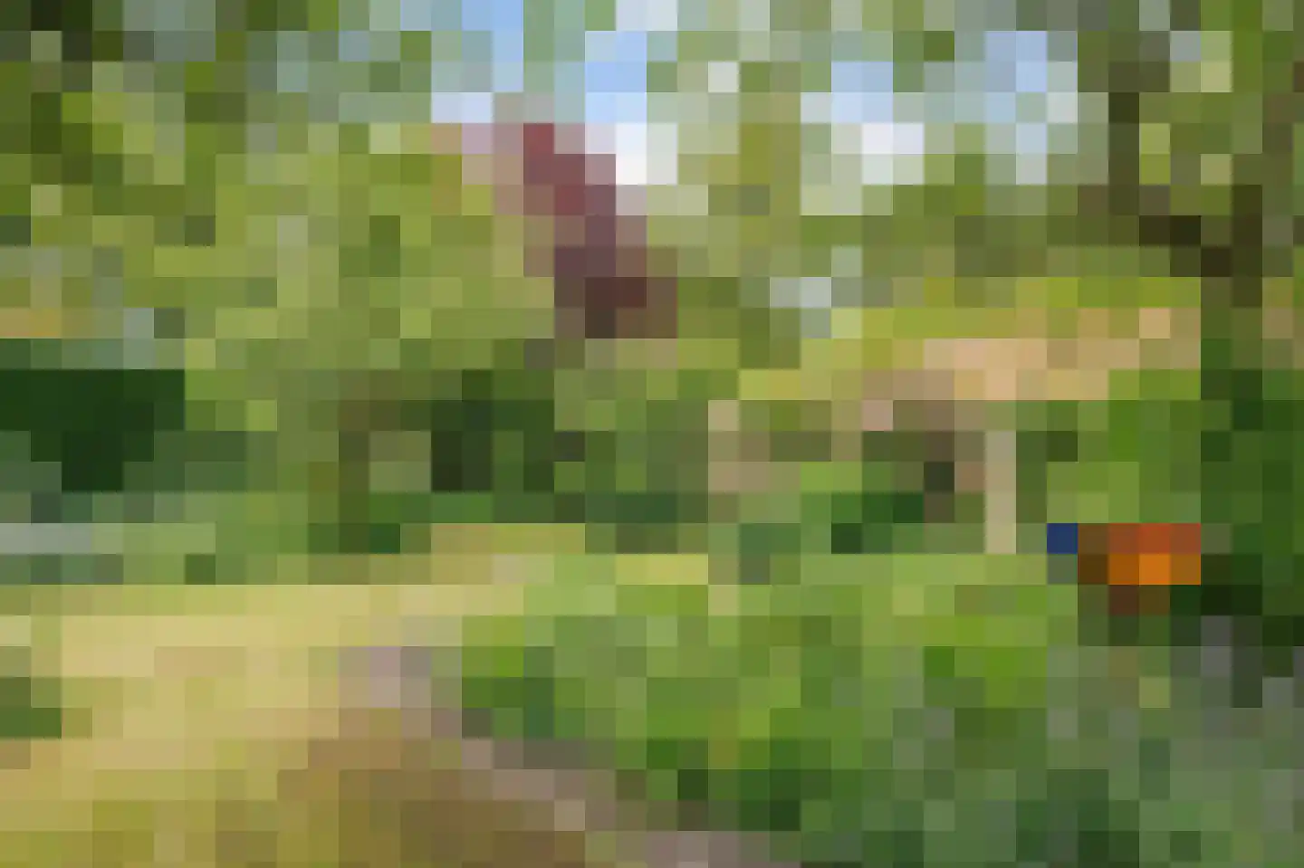 Hoetmansmeer I 102 Nieuwe Pekela thumbnail 56