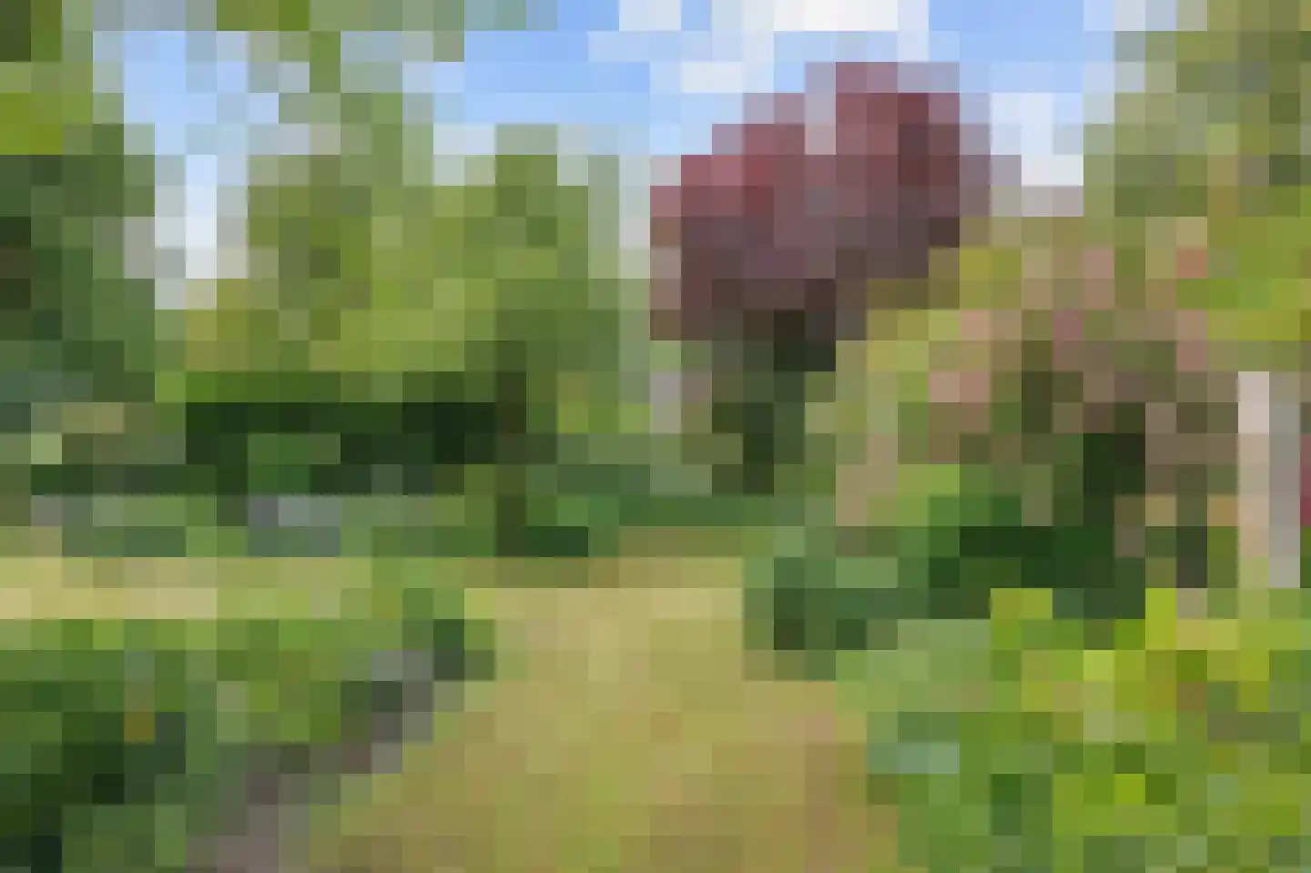 Hoetmansmeer I 102 Nieuwe Pekela thumbnail 57