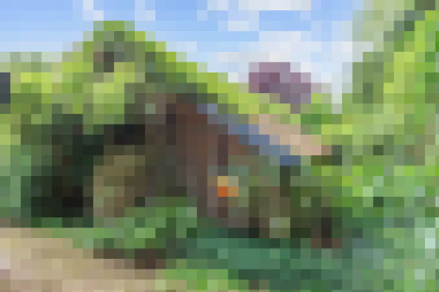 Hoetmansmeer I 102 Nieuwe Pekela thumbnail 58
