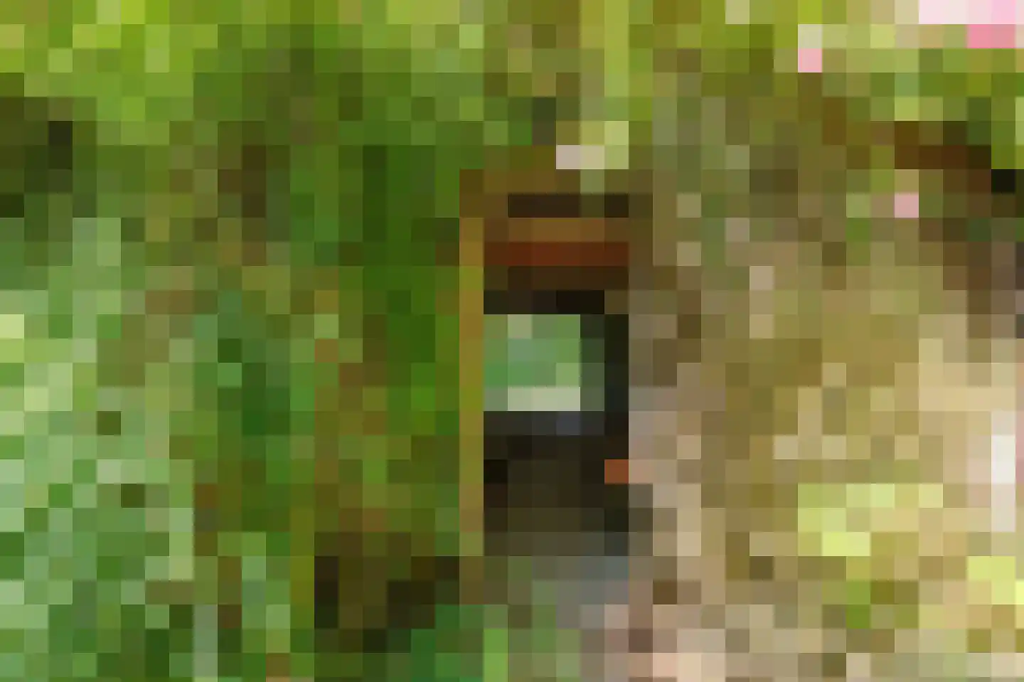Hoetmansmeer I 102 Nieuwe Pekela thumbnail 59