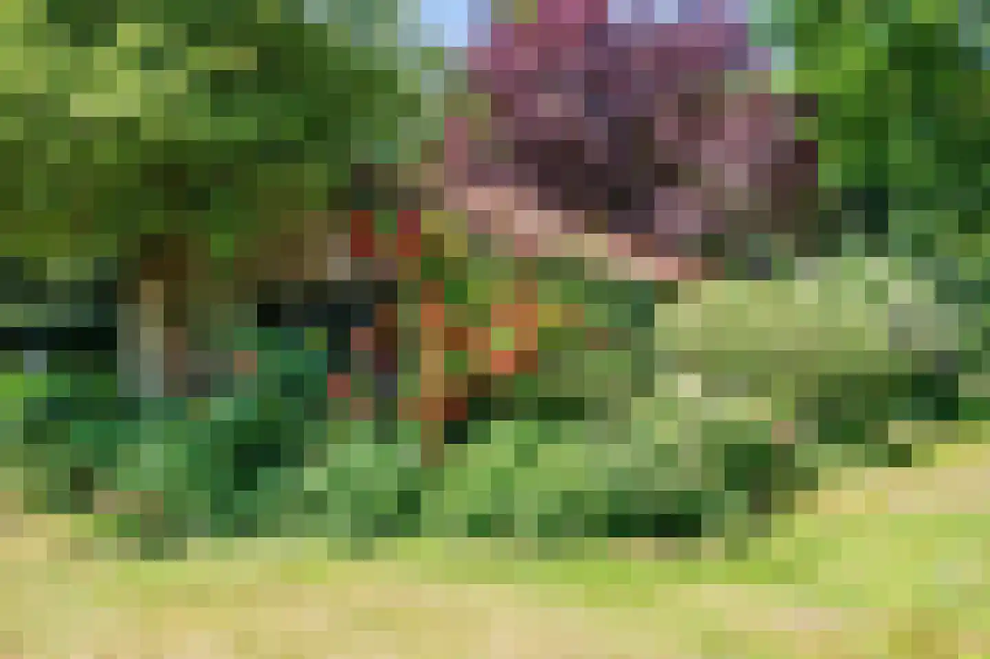 Hoetmansmeer I 102 Nieuwe Pekela thumbnail 62