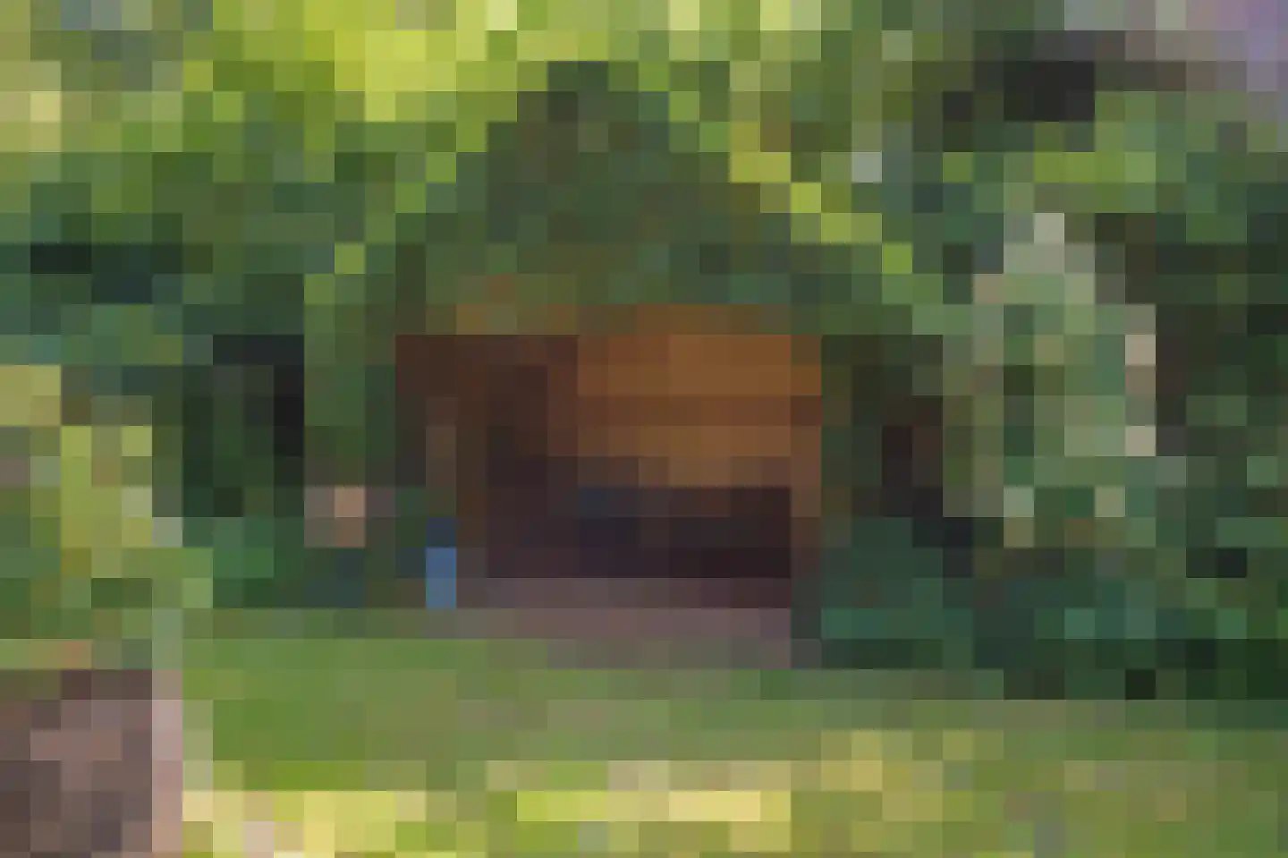Hoetmansmeer I 102 Nieuwe Pekela thumbnail 64