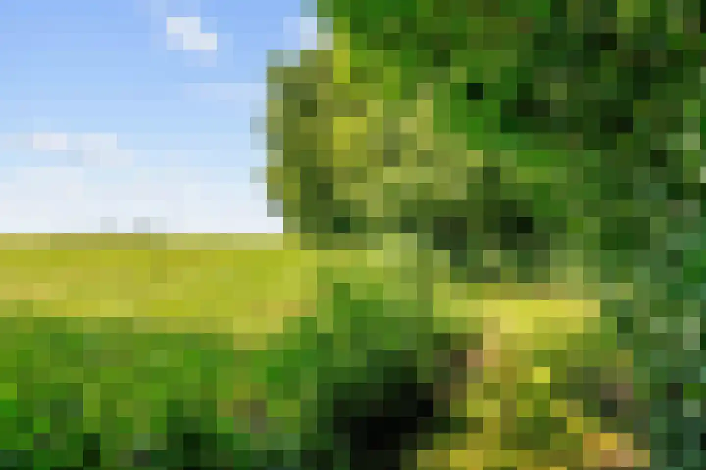 Hoetmansmeer I 102 Nieuwe Pekela thumbnail 71