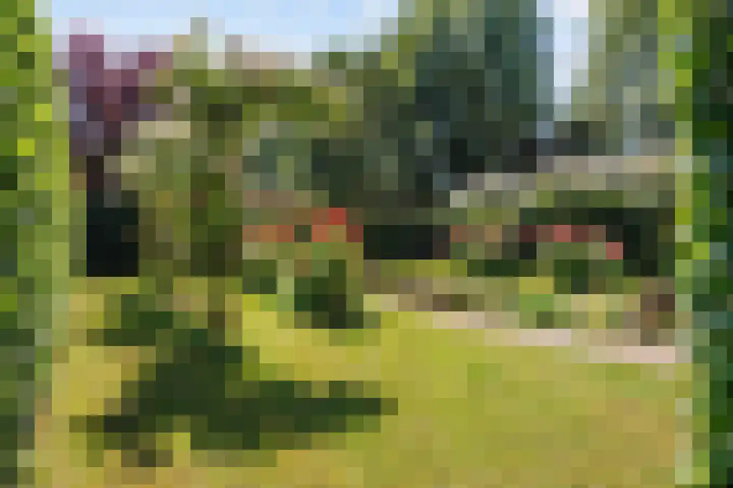 Hoetmansmeer I 102 Nieuwe Pekela thumbnail 72